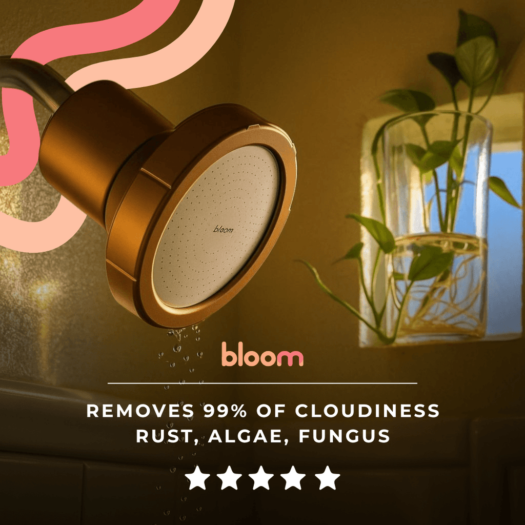 Bloom Filtered Showerhead
