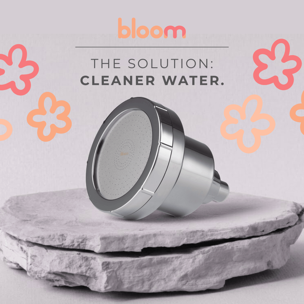 Bloom Filtered Showerhead